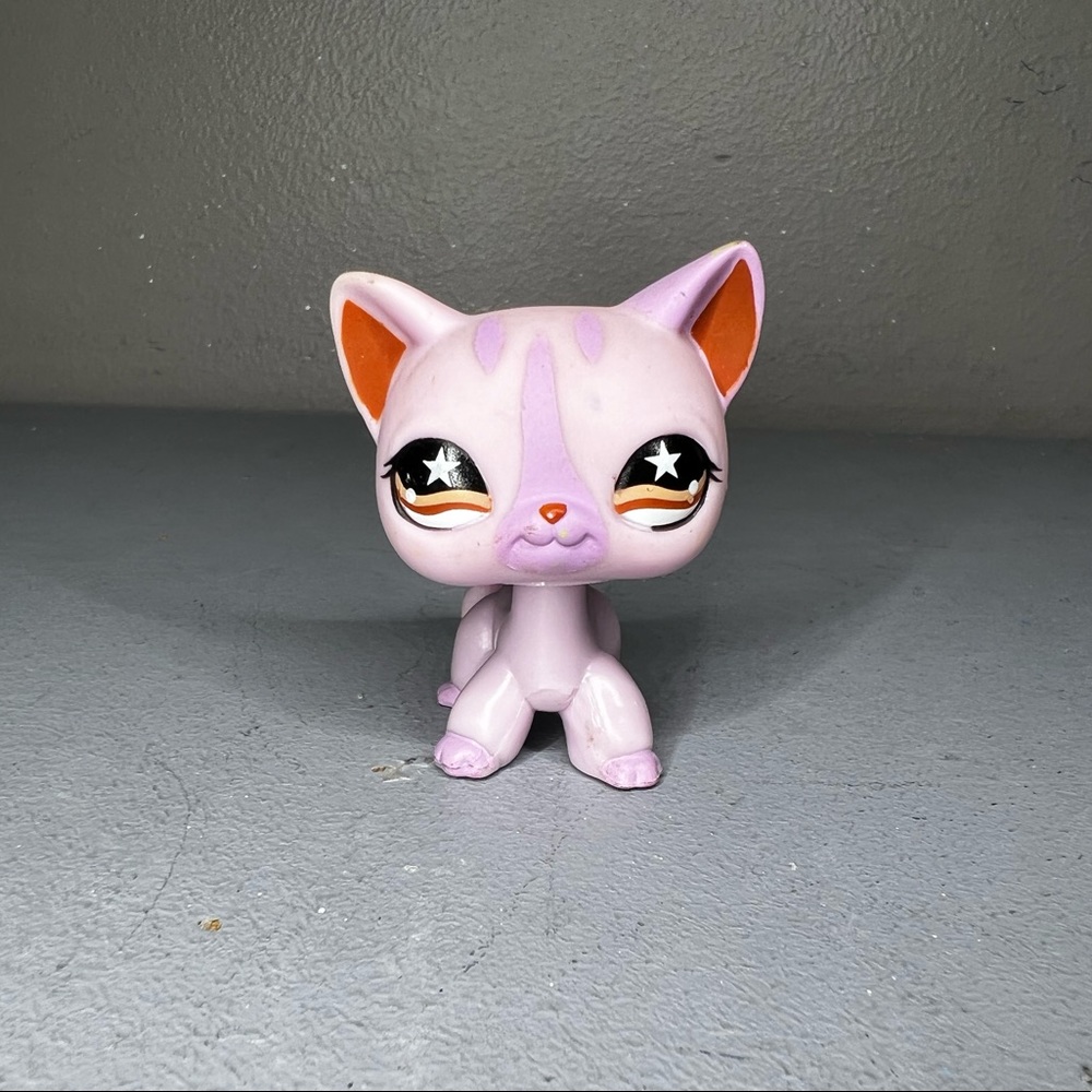Lps shorthair cat